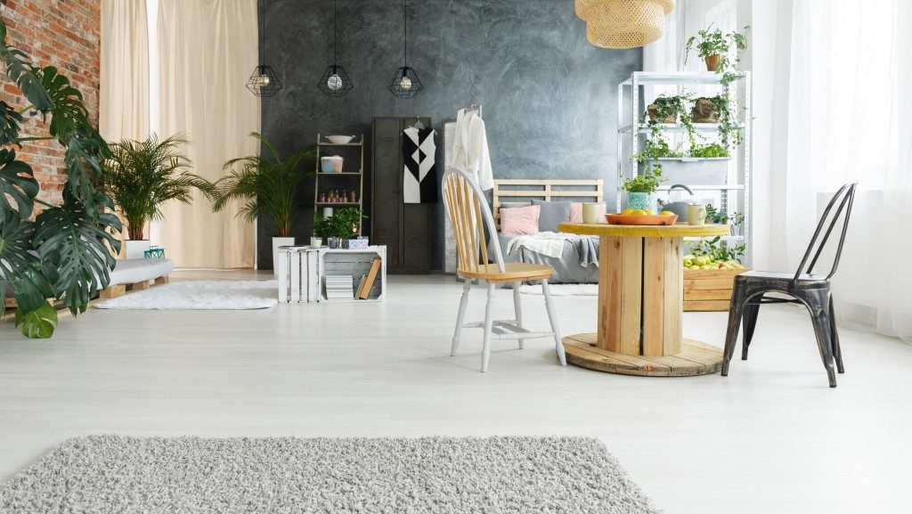 minimalist living room with indoor plants